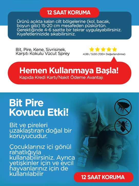 Başlık